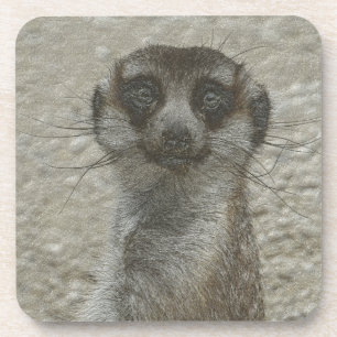 Metallmeerkat Getränkeuntersetzer