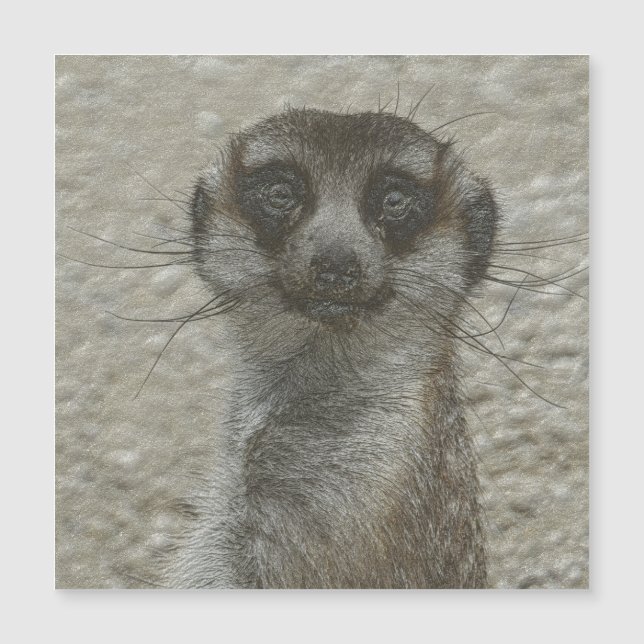 Metallmeerkat Magnetkarte (Vorderseite)