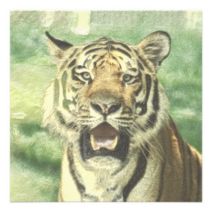 Metalltiger Fotodruck