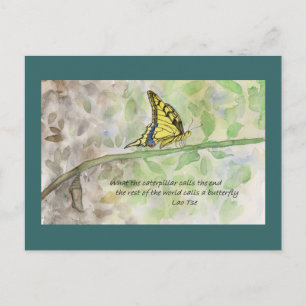 Metamorphose _1 Postkarte