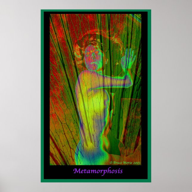 Metamorphose Poster (Vorne)