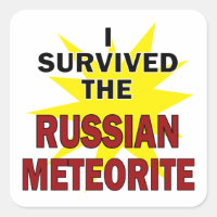 Meteor Survivor