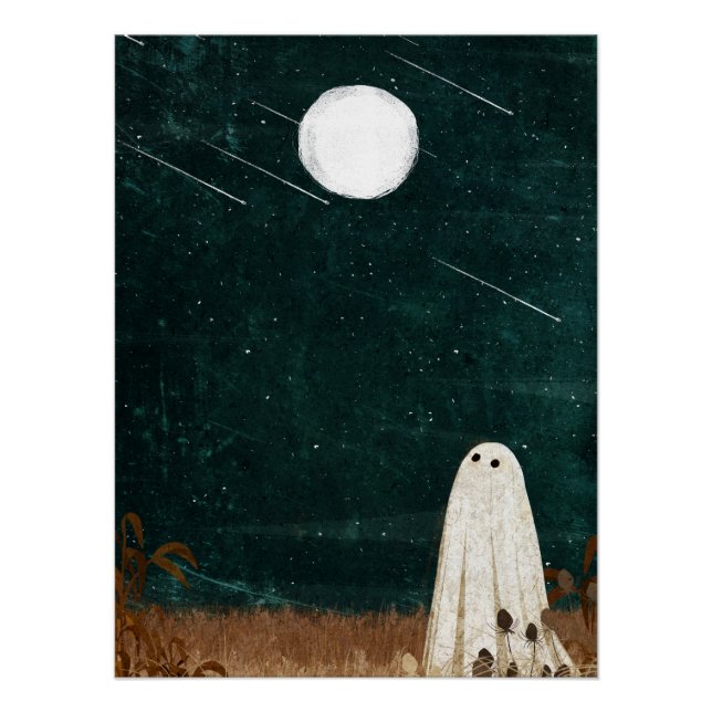 Meteordusche Poster (Vorderseite)