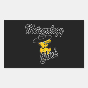 Meteorology Chick #4 Rechteckiger Aufkleber