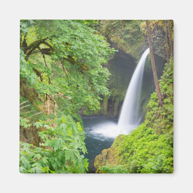 Metlako Falls Magnet (Vorne)