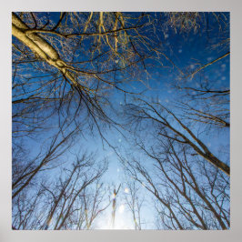 Metropark Scioto Grove, Grove City, Ohio Poster