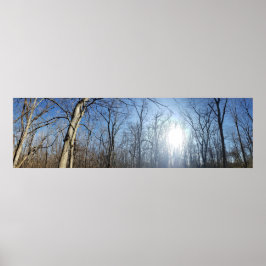 Metropark Scioto Grove, Grove City, Ohio Poster