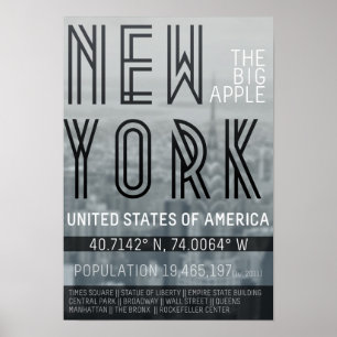 Metropolis New York Poster