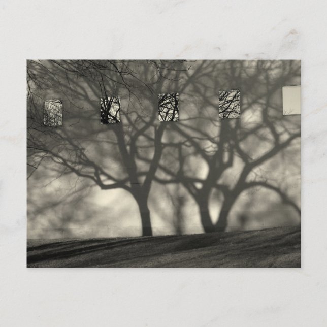 Metropolitan Shadows Postcard Postkarte (Vorderseite)