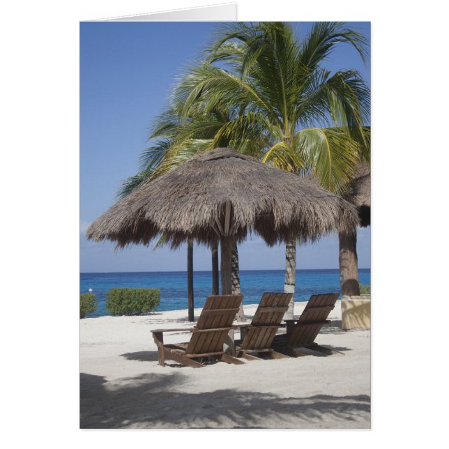 Mexican Beach Paradise (Vorne)