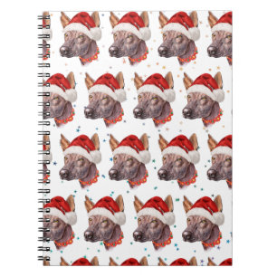 Mexican Hairless Dog Breed Weihnachtssterne Notizblock