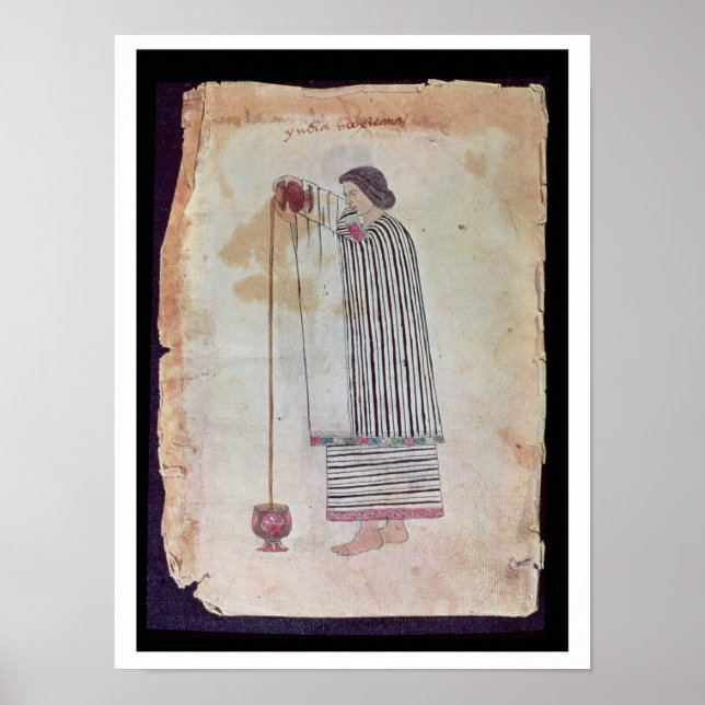 Mexican Indian Preparing Chocolate, aus dem Codex Poster (Vorne)
