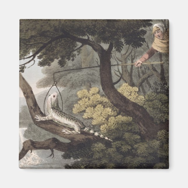 Mexican Lizard Catcher, graviert von Matthew Dubou Magnet (Vorne)