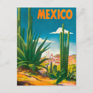 Mexico Cactus Vintage Travel Postcard Postkarte