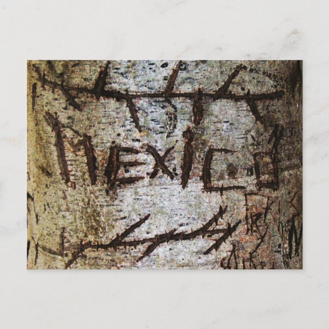 "Mexico" Carved Tree Graffiti Postkarte (Vorderseite)
