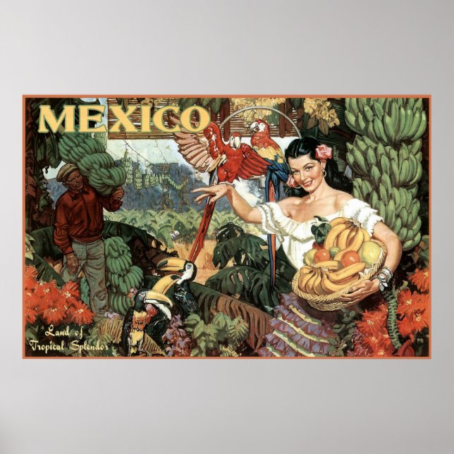 mexico Land von tropischer Pracht Poster (Vorne)