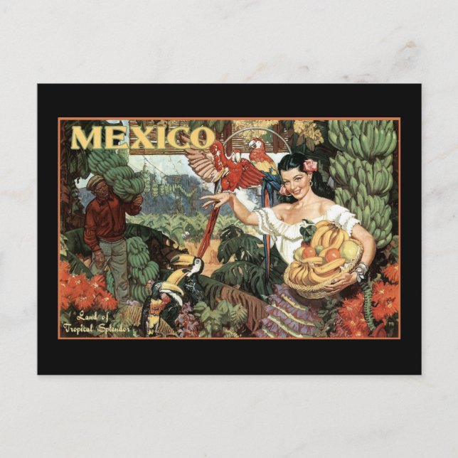 mexico Land von tropischer Pracht Postkarte (Vorderseite)