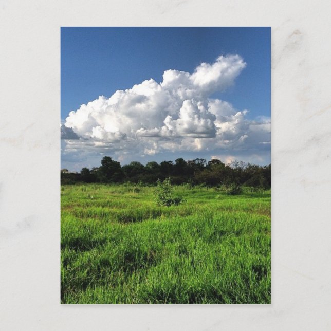 #mexico #losaltos postkarte (Vorderseite)