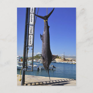 Mexico Marlin Postkarte