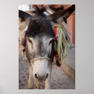Mexico, San Miguel De Allende Poster