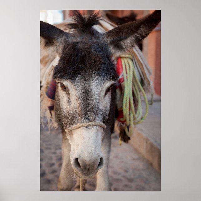 Mexico, San Miguel De Allende Poster (Vorne)
