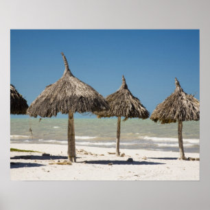 Mexico, Yucatan Peninsula, Progreso. Thatch Poster