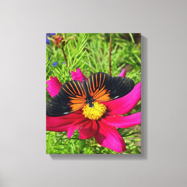 Mexikanische Asterblume mit einem Doris Longwing  Leinwanddruck (Vorderseite)