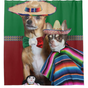 Mexikanische Chihuahua verfolgen Duschvorhang