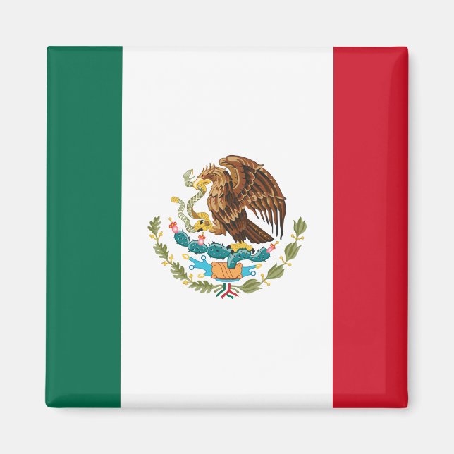 Mexikanische Flagge - Flagge Mexikos Magnet (Vorne)