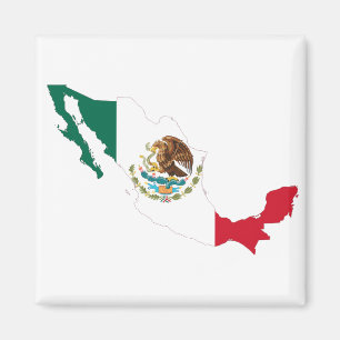 Mexikanische Flagge Magnet