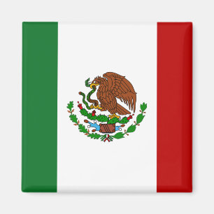 mexikanische Flagge Magnet