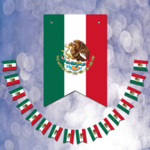 Mexikanische Flagge und mexikanisches Party / Hoch