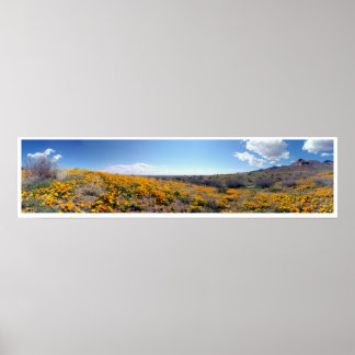 Mexikanische Goldene Poppies - Franklin Mountains Poster