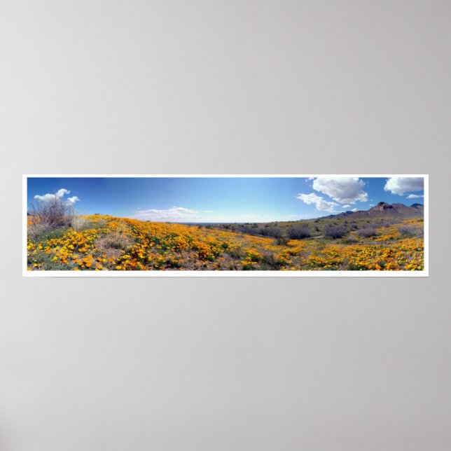 Mexikanische Goldene Poppies - Franklin Mountains Poster (Vorne)