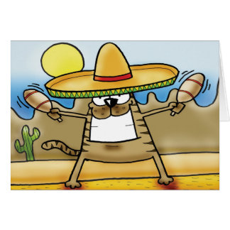 Mexikanische Sombrero-Katze