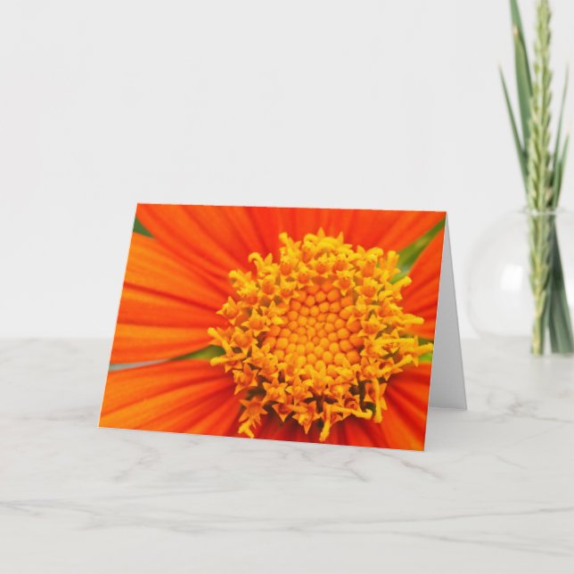 mexikanische Sonnenblume Karte (Vorderseite)