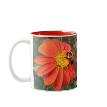 Mexikanische Sonnenblume und Biene