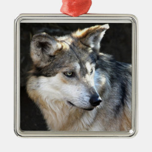 Mexikanischer grauer Wolf Silbernes Ornament