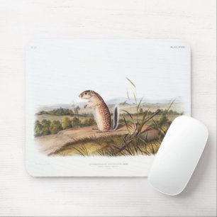 Mexikanischer Marmot Eichhörnchen Camping Deko Ges Mousepad