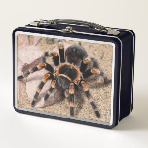 Mexikanischer Roter Knie Tarantula Spider Metall Brotdose