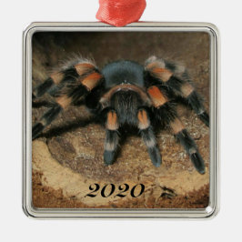 Mexikanischer Roter Knie Tarantula Spider Ornament Aus Metall