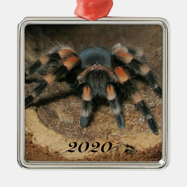Mexikanischer Roter Knie Tarantula Spider Ornament Aus Metall (Vorne)