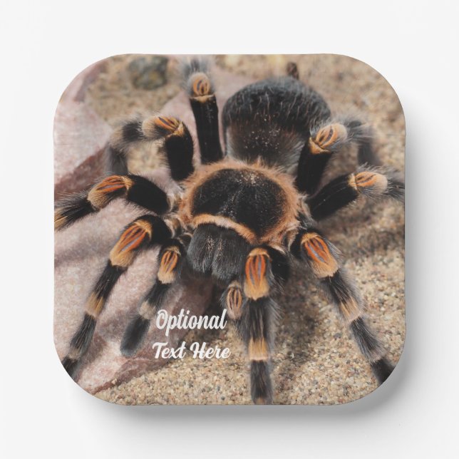Mexikanischer Roter Knie Tarantula Spider Pappteller (Vorderseite)