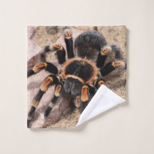 Mexikanischer Roter Knie Tarantula Spider Waschlappen