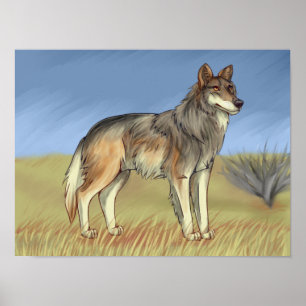 Mexikanischer Wolf Poster