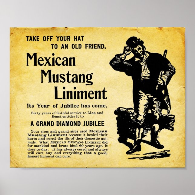 mexikanisches Mustang Liniment Poster (Vorne)