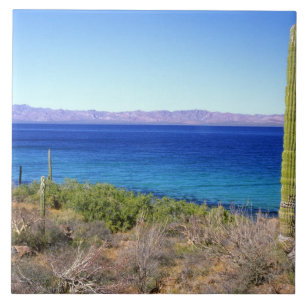 Mexiko, Baja California Sur, Mulege, Bahia 2 Fliese
