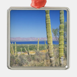 Mexiko, Baja California Sur, Mulege, Bahia Ornament Aus Metall