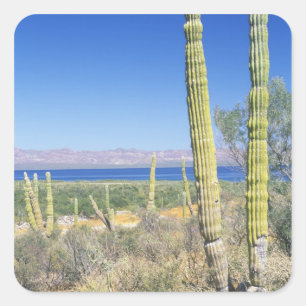 Mexiko, Baja California Sur, Mulege, Bahia Quadratischer Aufkleber