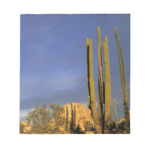 Mexiko, Baja del Norte, Catavina-Wüsten-National Notizblock